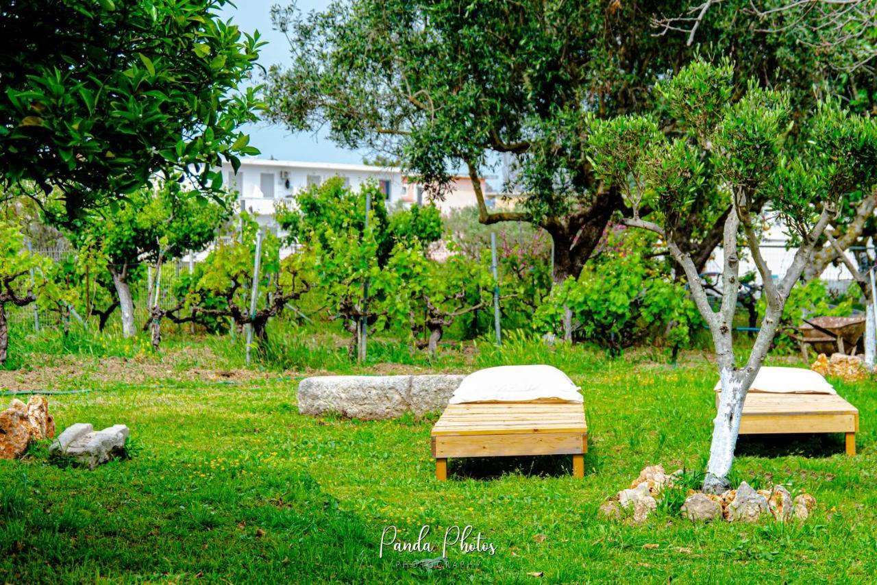 Zante Apts Laganas Exteriér fotografie