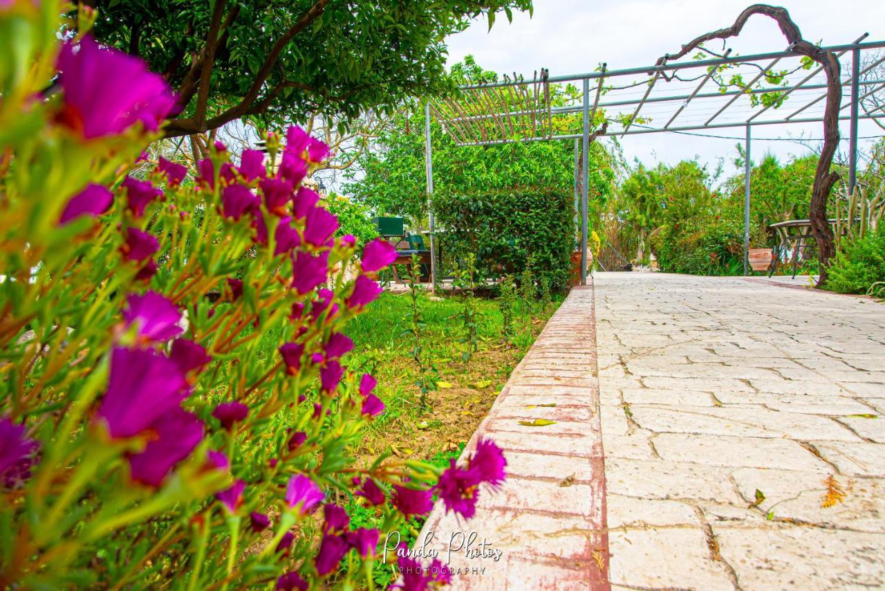 Zante Apts Laganas Exteriér fotografie